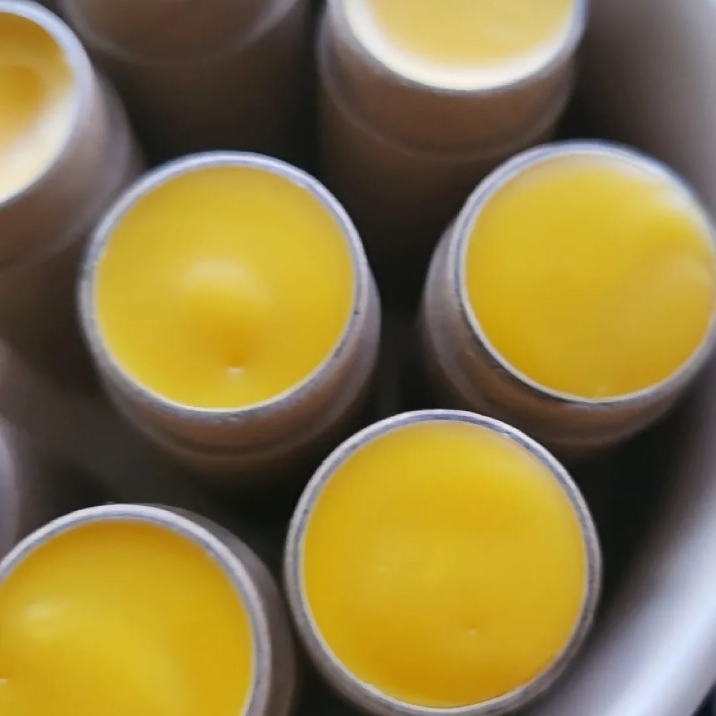 Fat Lip Tallow Lip Butter | Boise Tonic Co