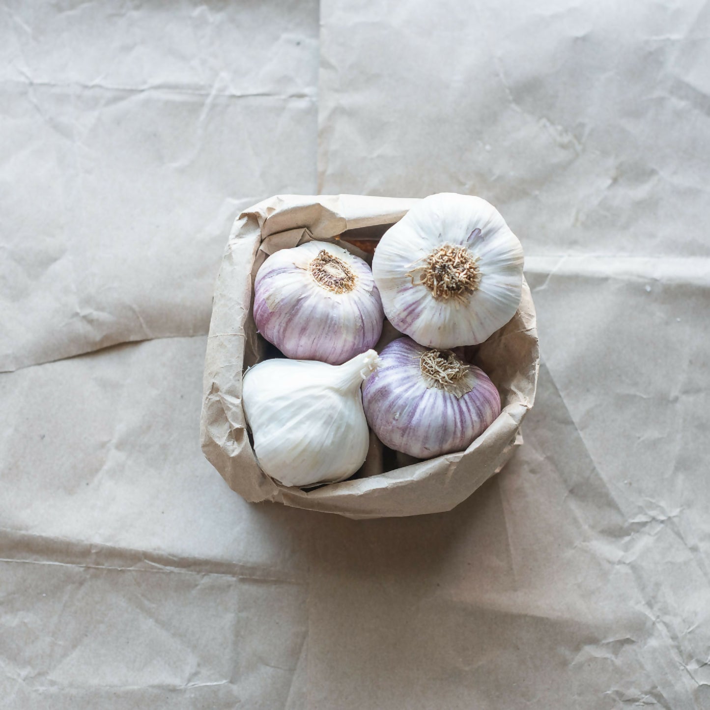 Garlic | Whistlepig Farm