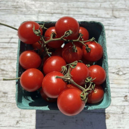 Peacevine Tomato | Medicine Bowl Farms