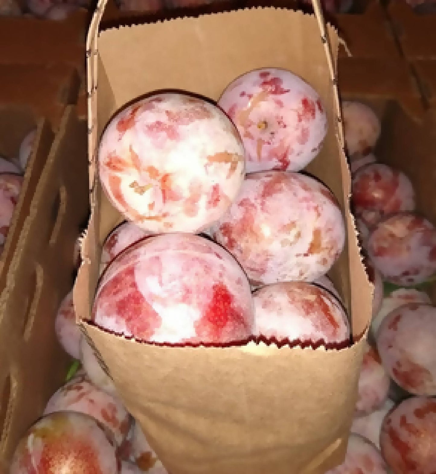 Pluots - Dapple Dandy - 4lb Tote Bag
