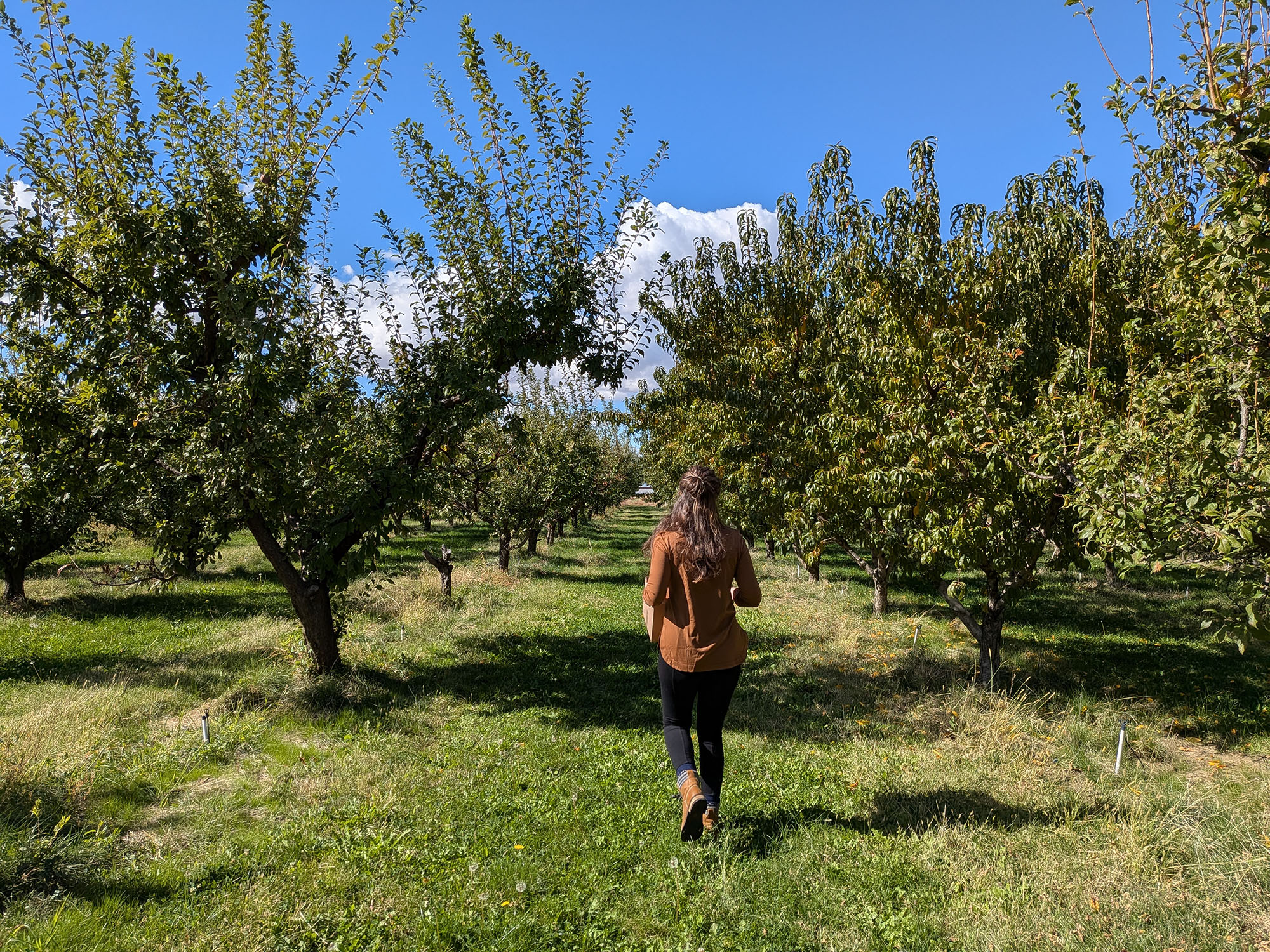 Kelley Orchards Historic Fruit Farm in Weiser Idaho