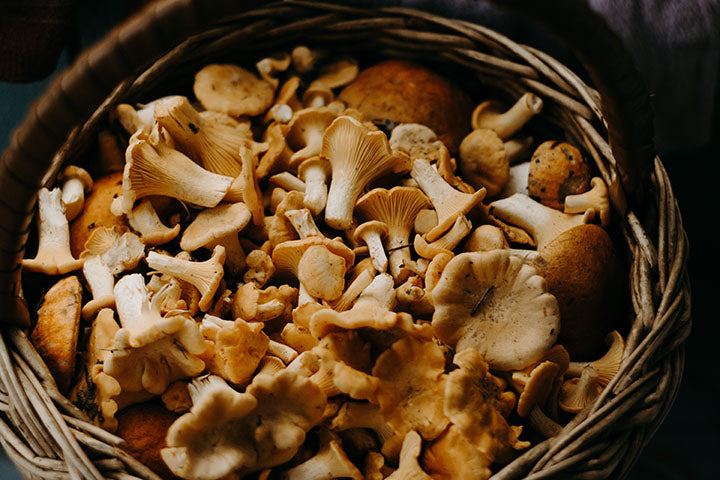 How to Cook with Gourmet Medicinal Mushrooms (Plus: What Makes Them So Good for You)