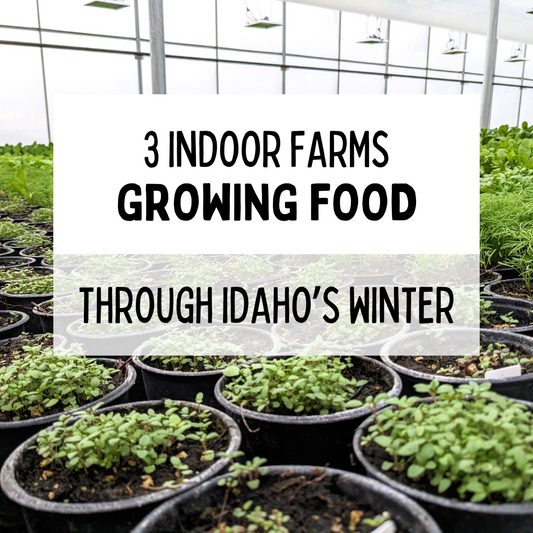 3 Indoor Farms Growing Food through Idaho's Winter