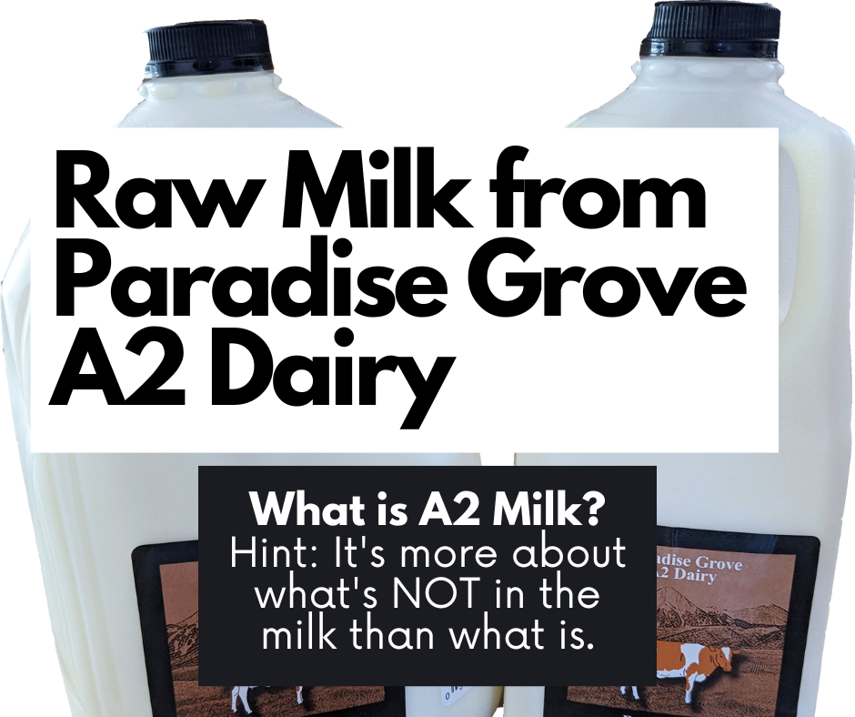 What is A2 milk?