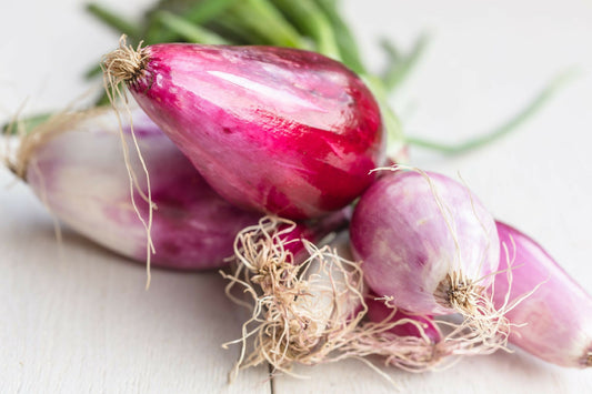 Tropea onions