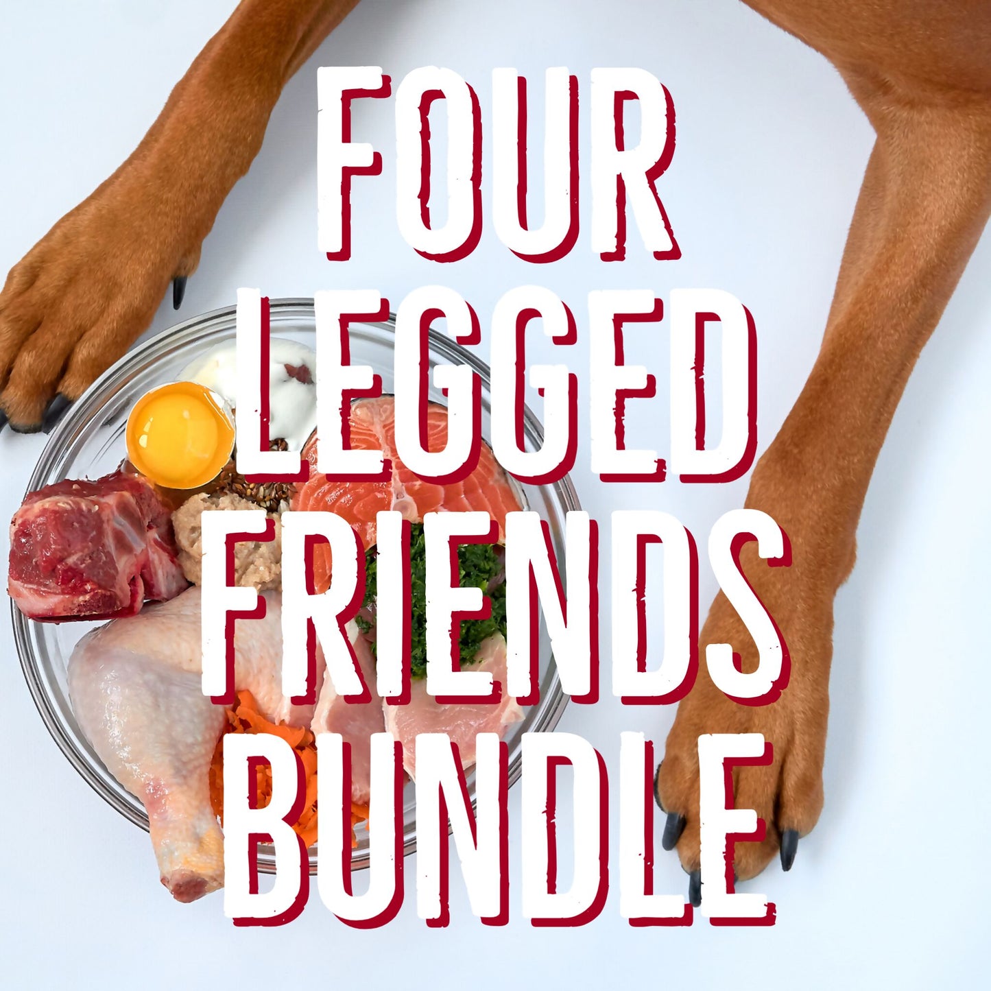 Four Legged Friends Bundle
