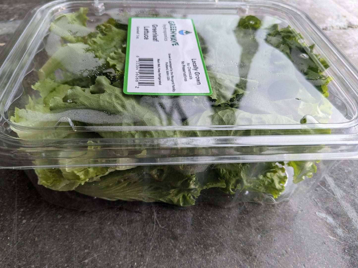 Greenleaf Lettuce