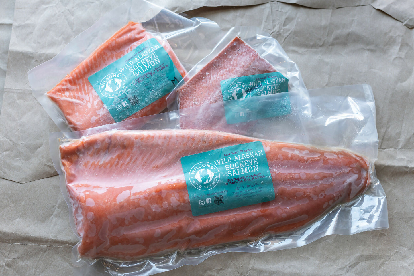 wilson salmon variety photo