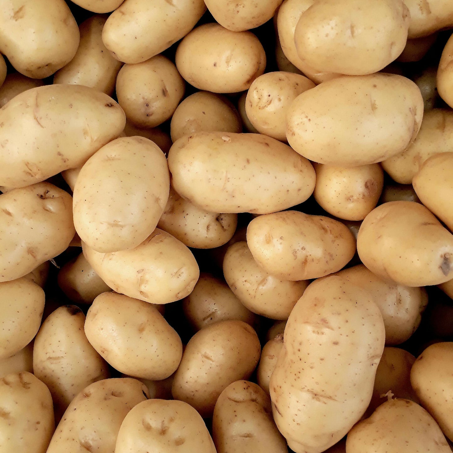 yellow potatoes