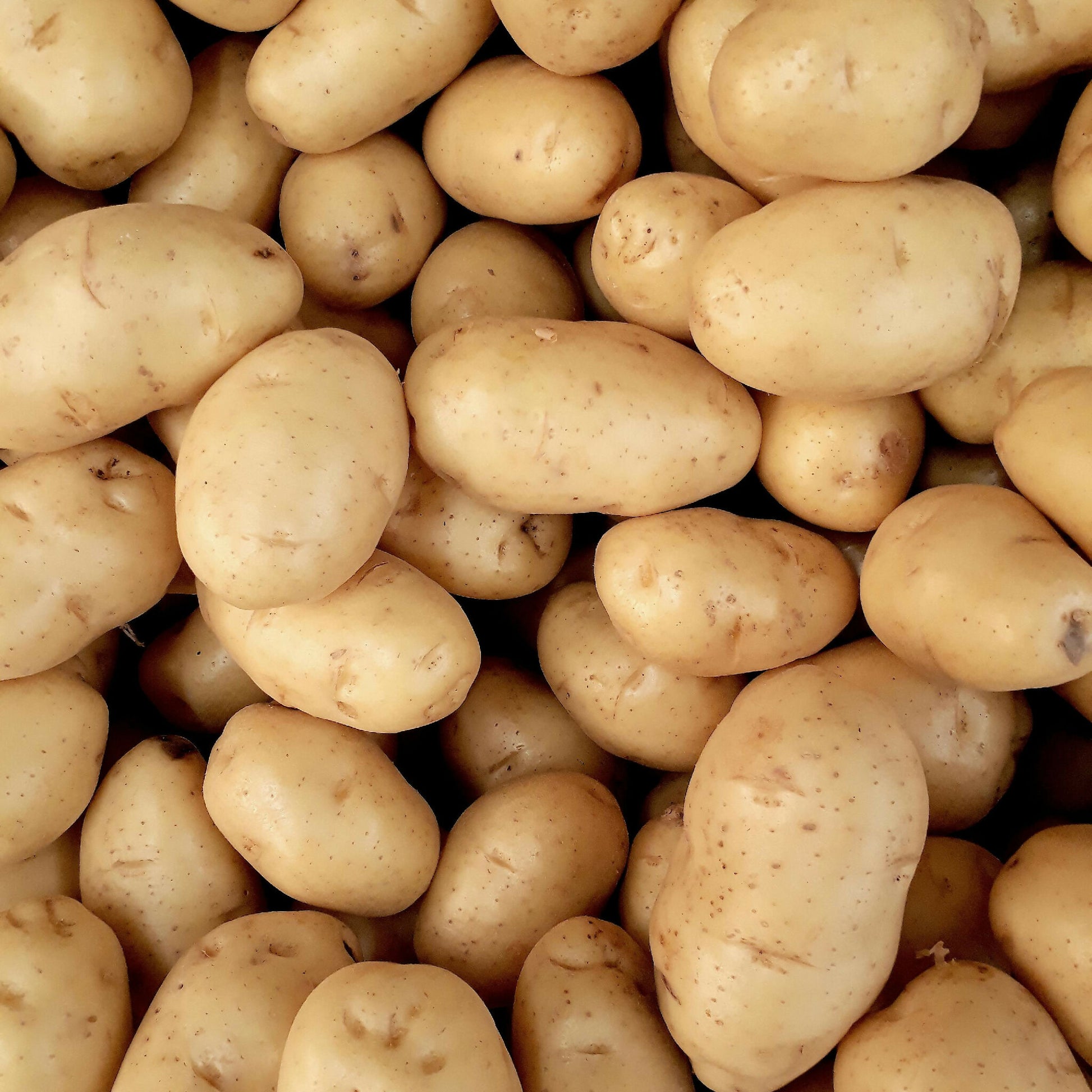 yellow potatoes