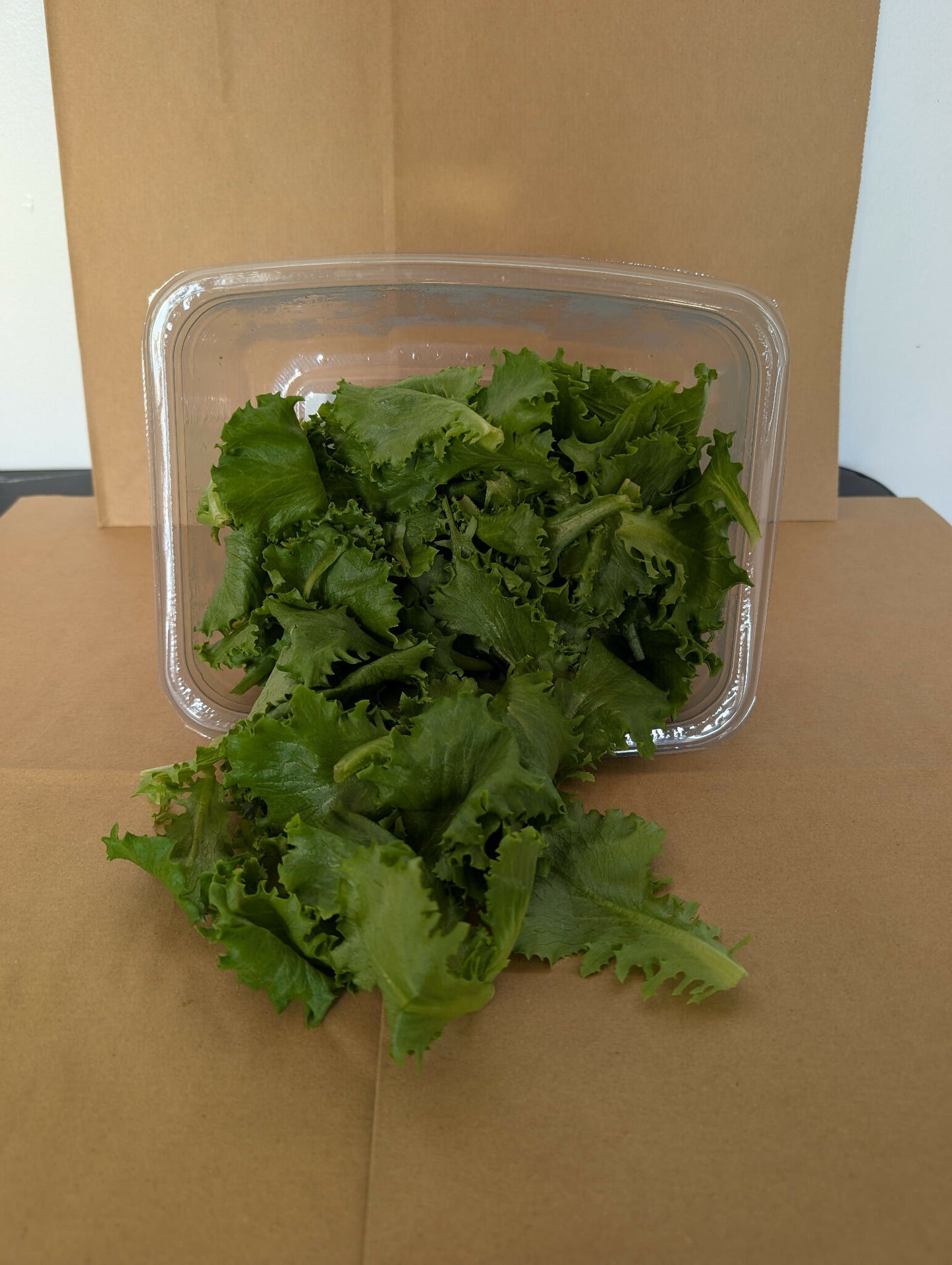 Greenscale Leaf Lettuce