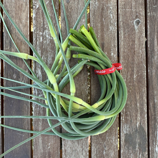 Garlic Scapes | Happy Heron Farm