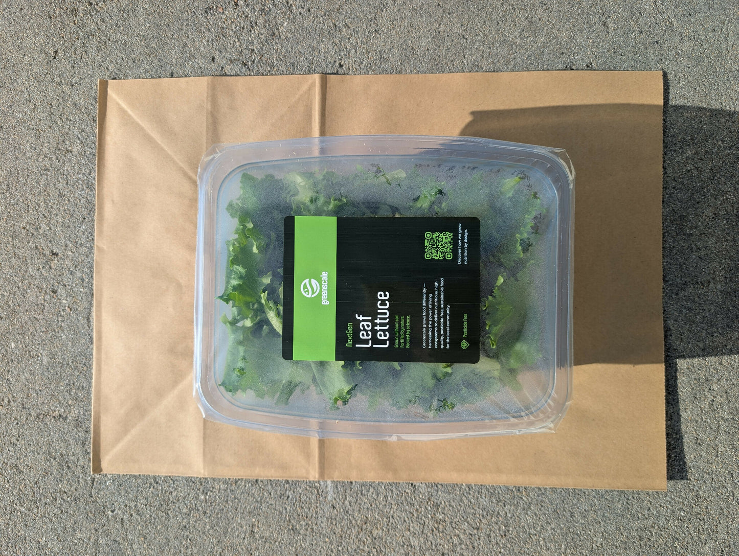 Greenscale Leaf Lettuce