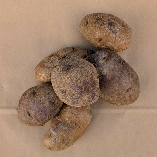 Purple Potatoes | King's Crown Organic Farm