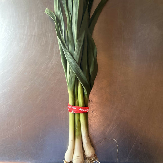 Green Garlic | Black Fox Farm