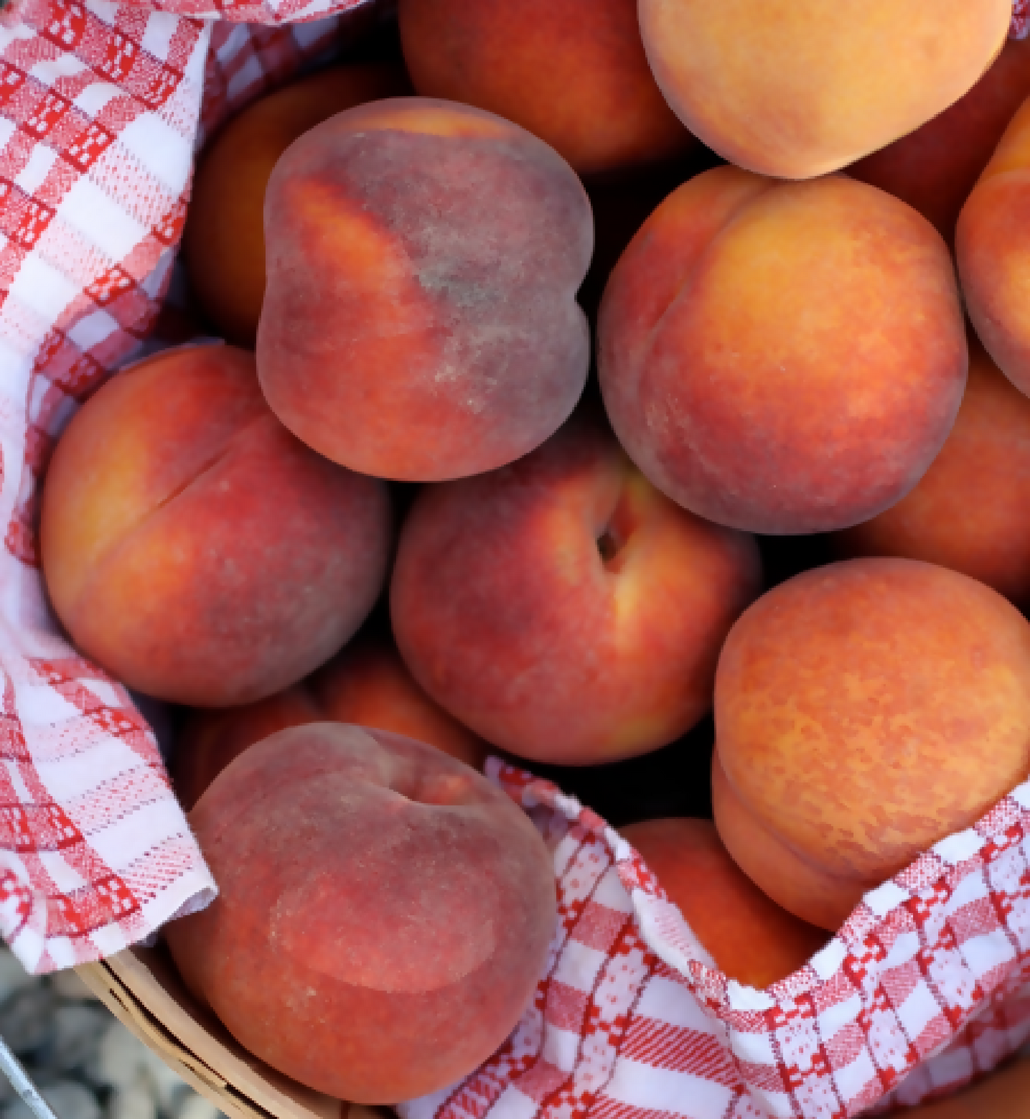 Gene Elberta Peaches | Kelley Orchards