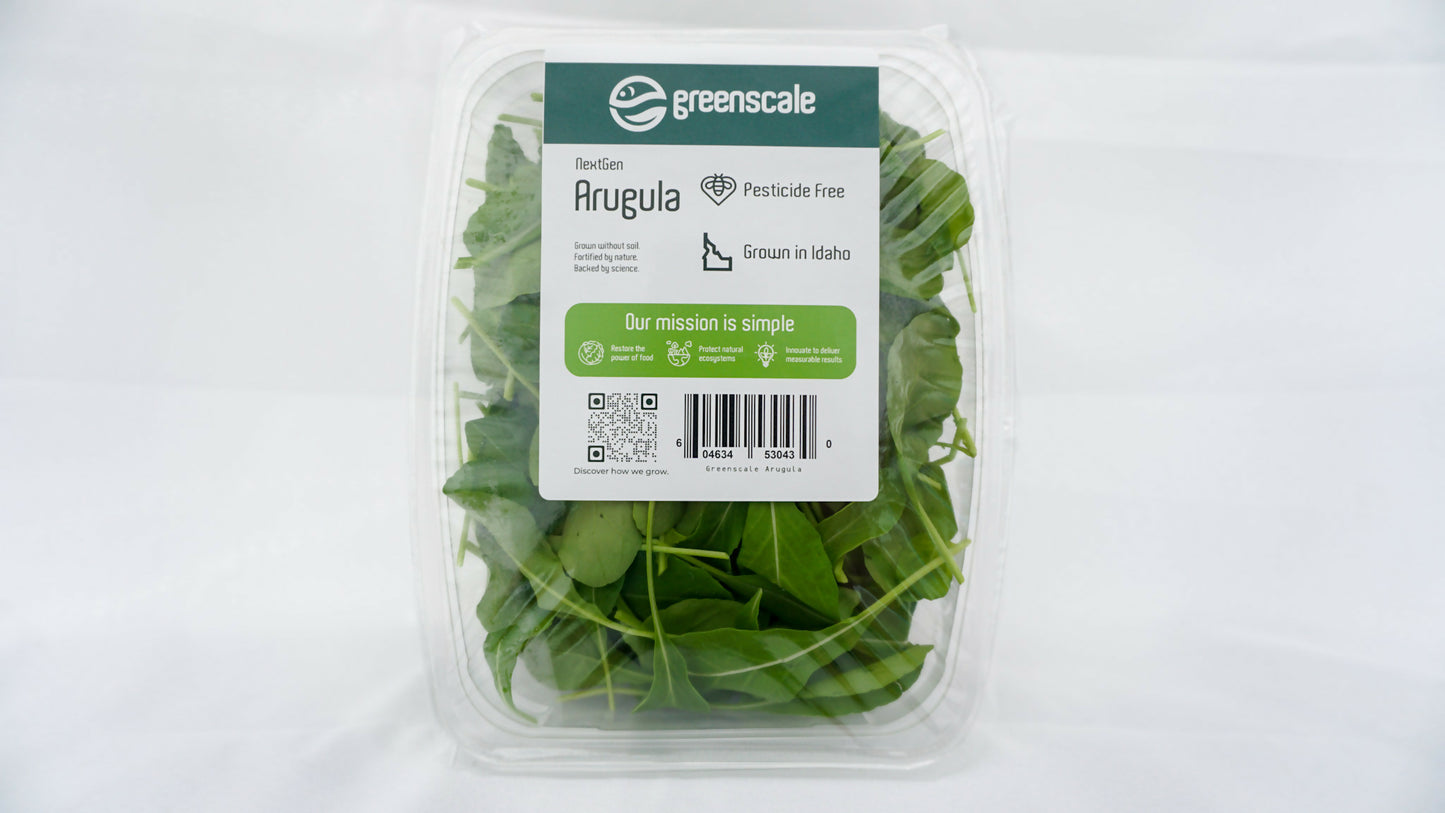 Greenscale Arugula