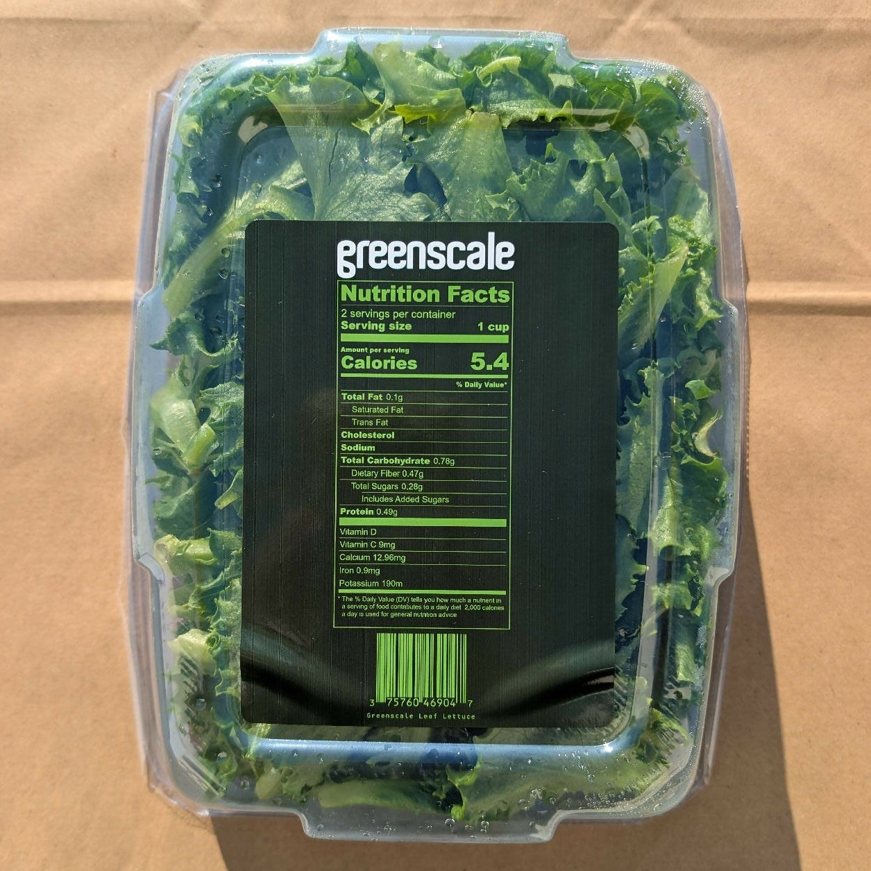 Greenscale Leaf Lettuce
