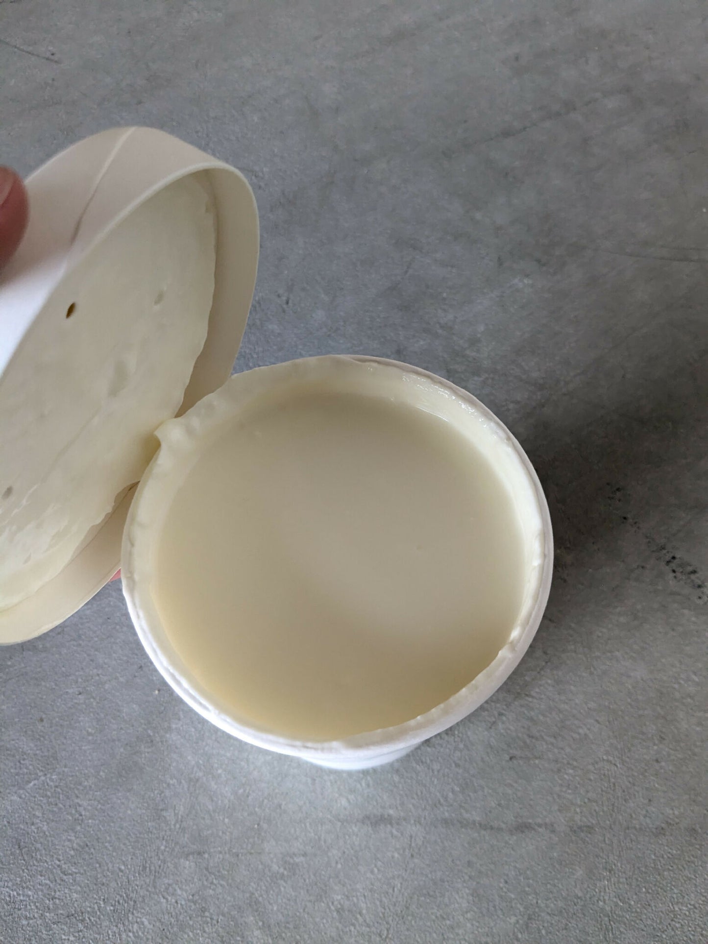 Raw Goat Milk Yogurt | Provider Farms