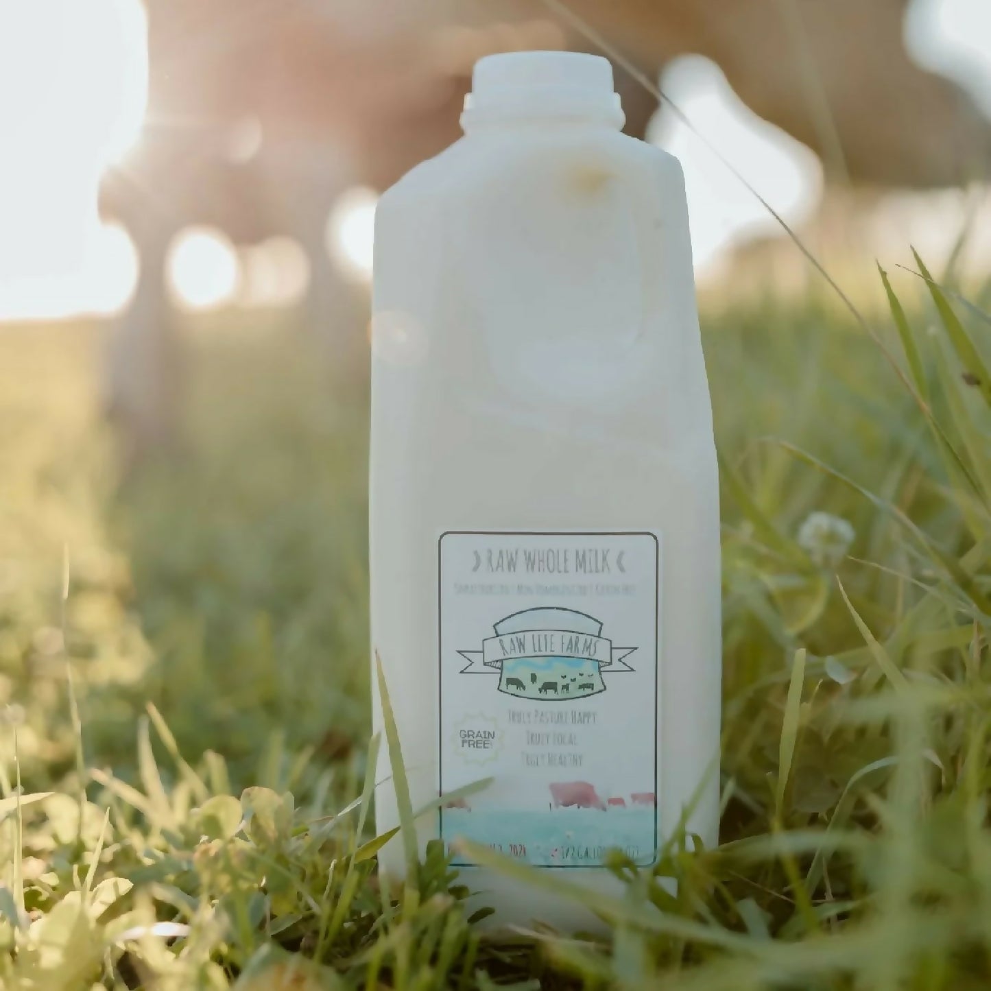 Raw Milk | Raw Life Farms