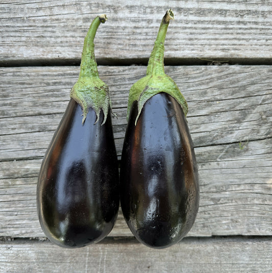 Eggplant | Happy Heron Farm