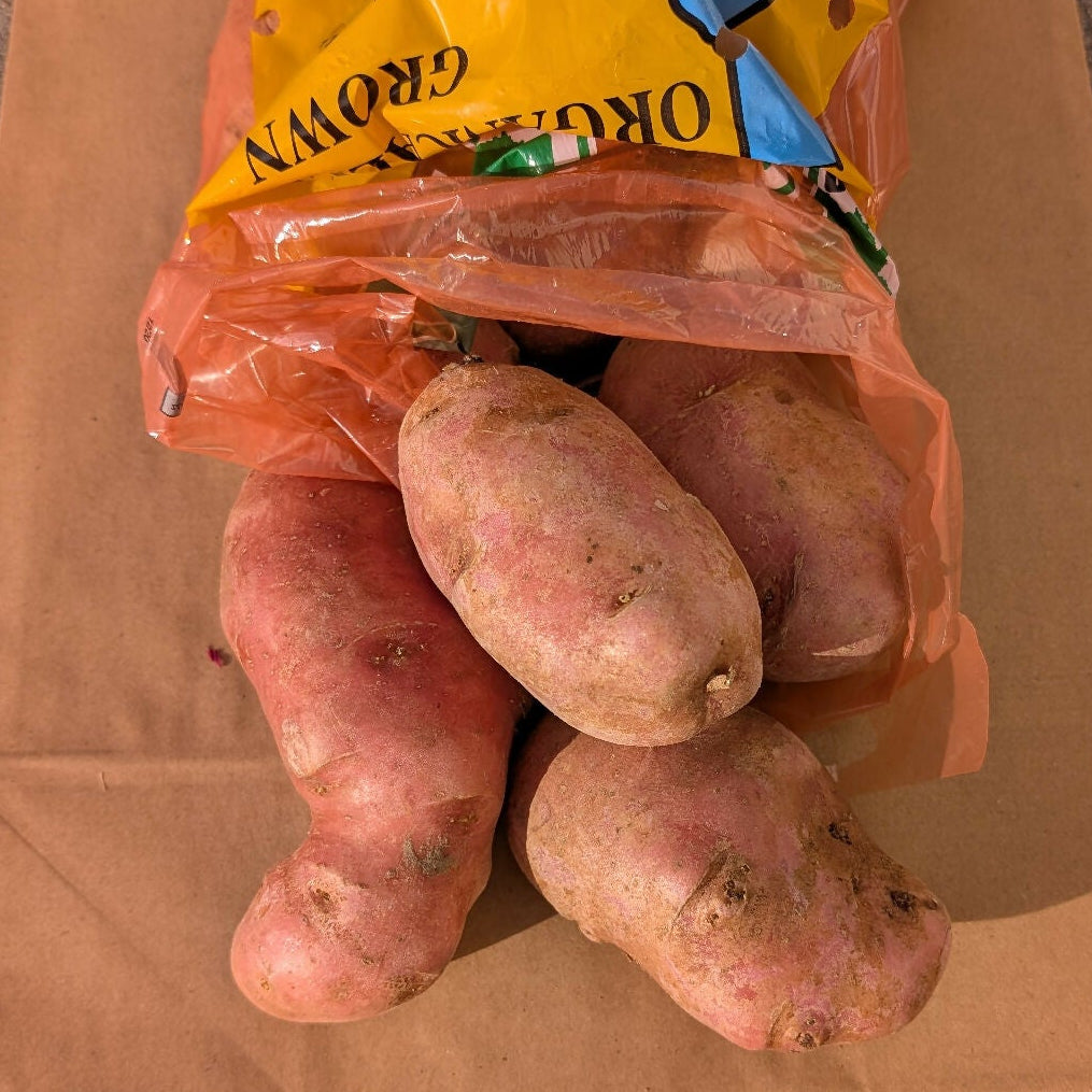 Red Potatoes | King's Crown Organic Farm