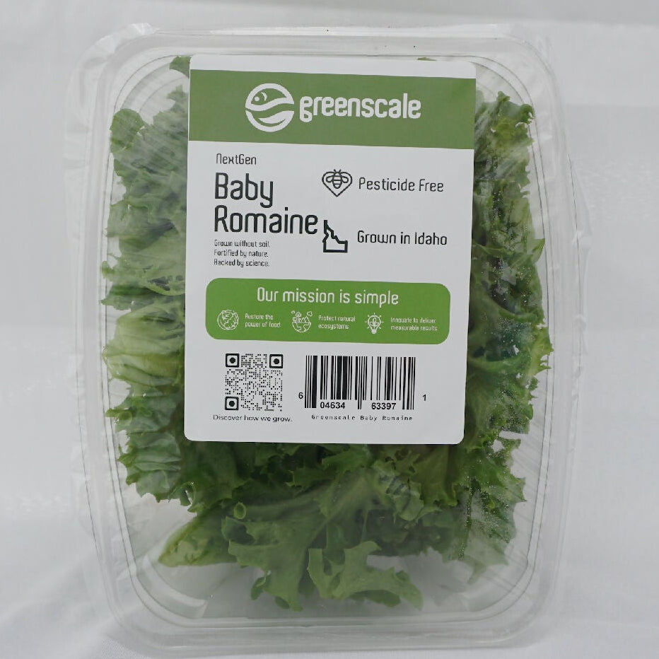 Greenscale Leaf Lettuce