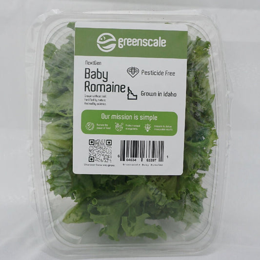 Greenscale Leaf Lettuce