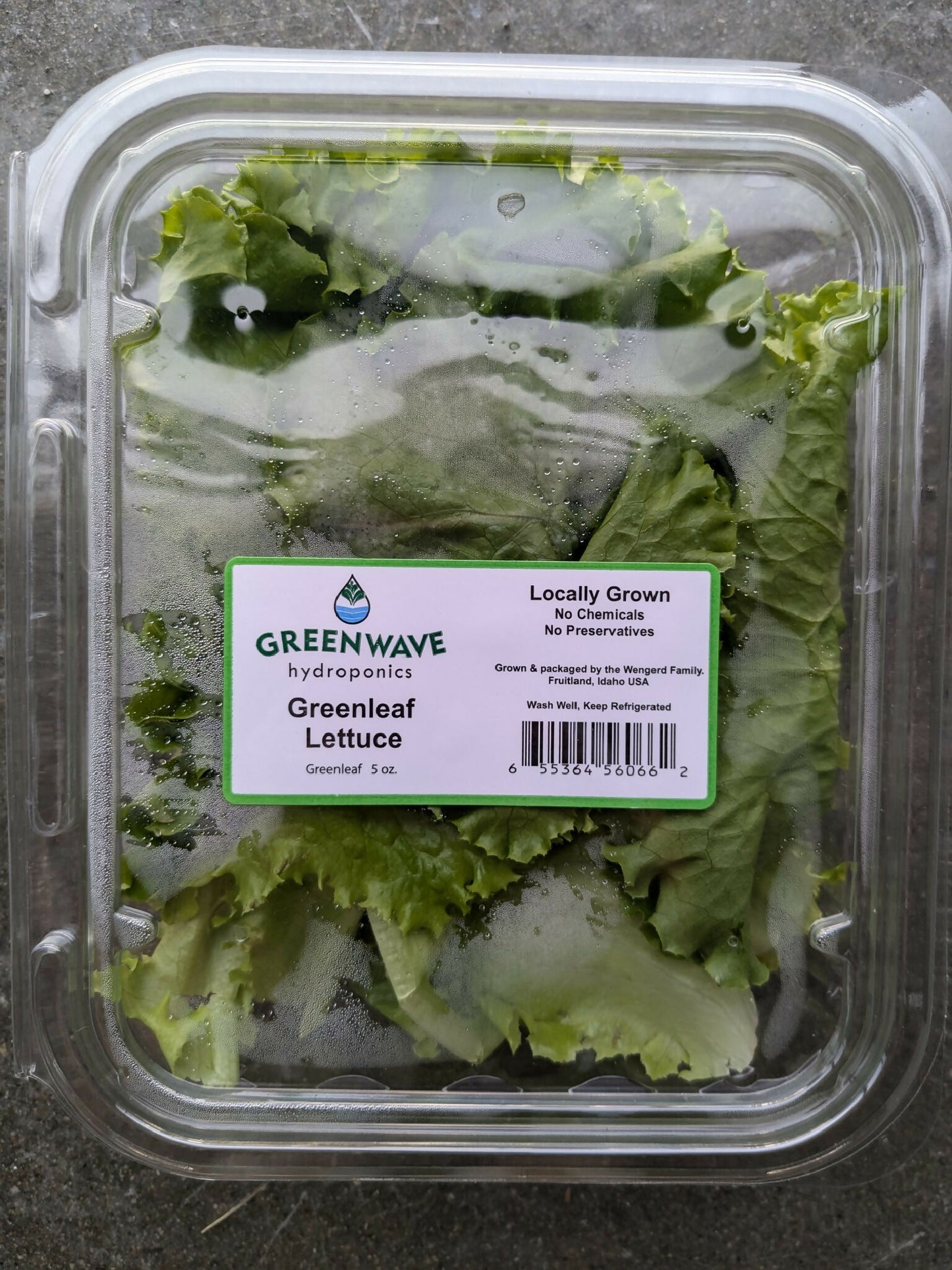 Greenleaf Lettuce