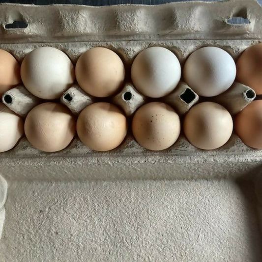 Eggs Pasture-Roaming| Black Fox Farm