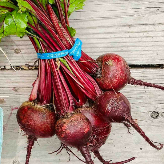 iMarkup_20240723_183830