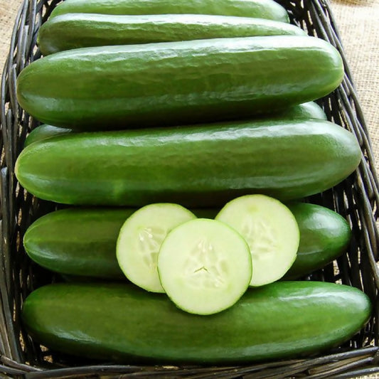 cucumber1
