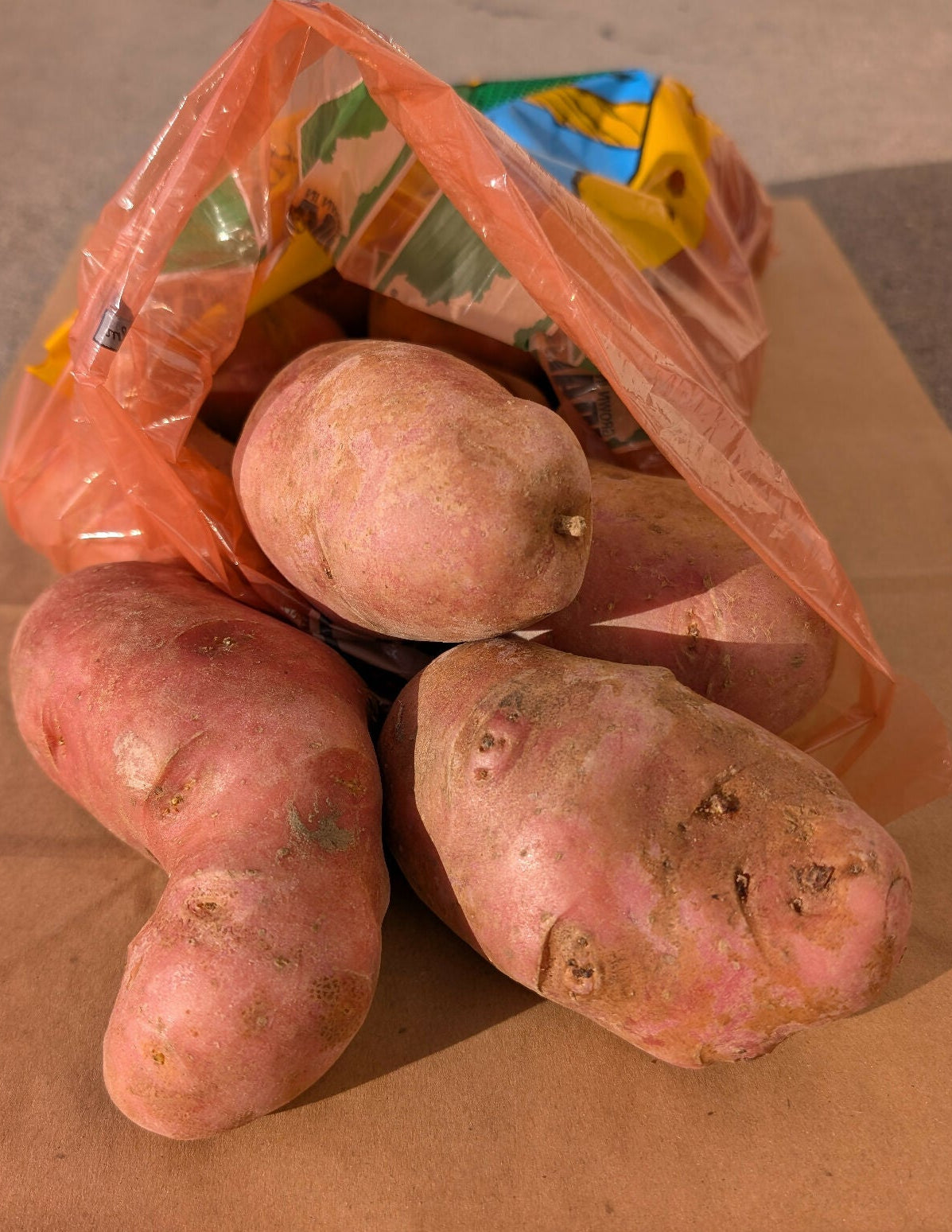 Red Potatoes | King's Crown Organic Farm