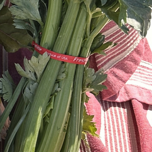 Celery