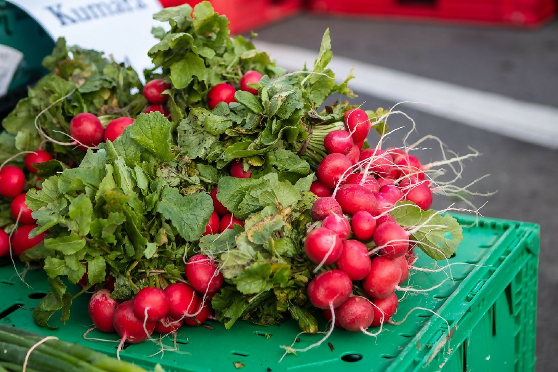 radish-5418761_1280