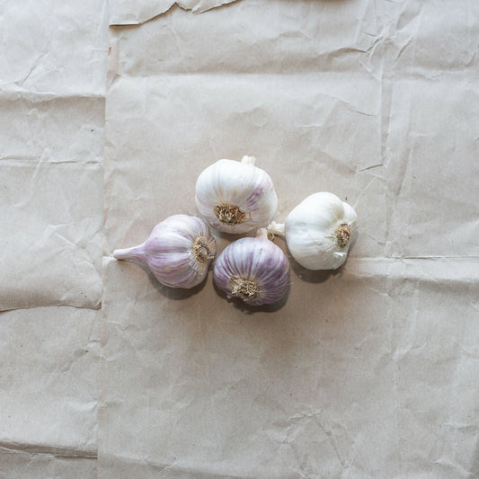 Garlic | Black Fox Farm