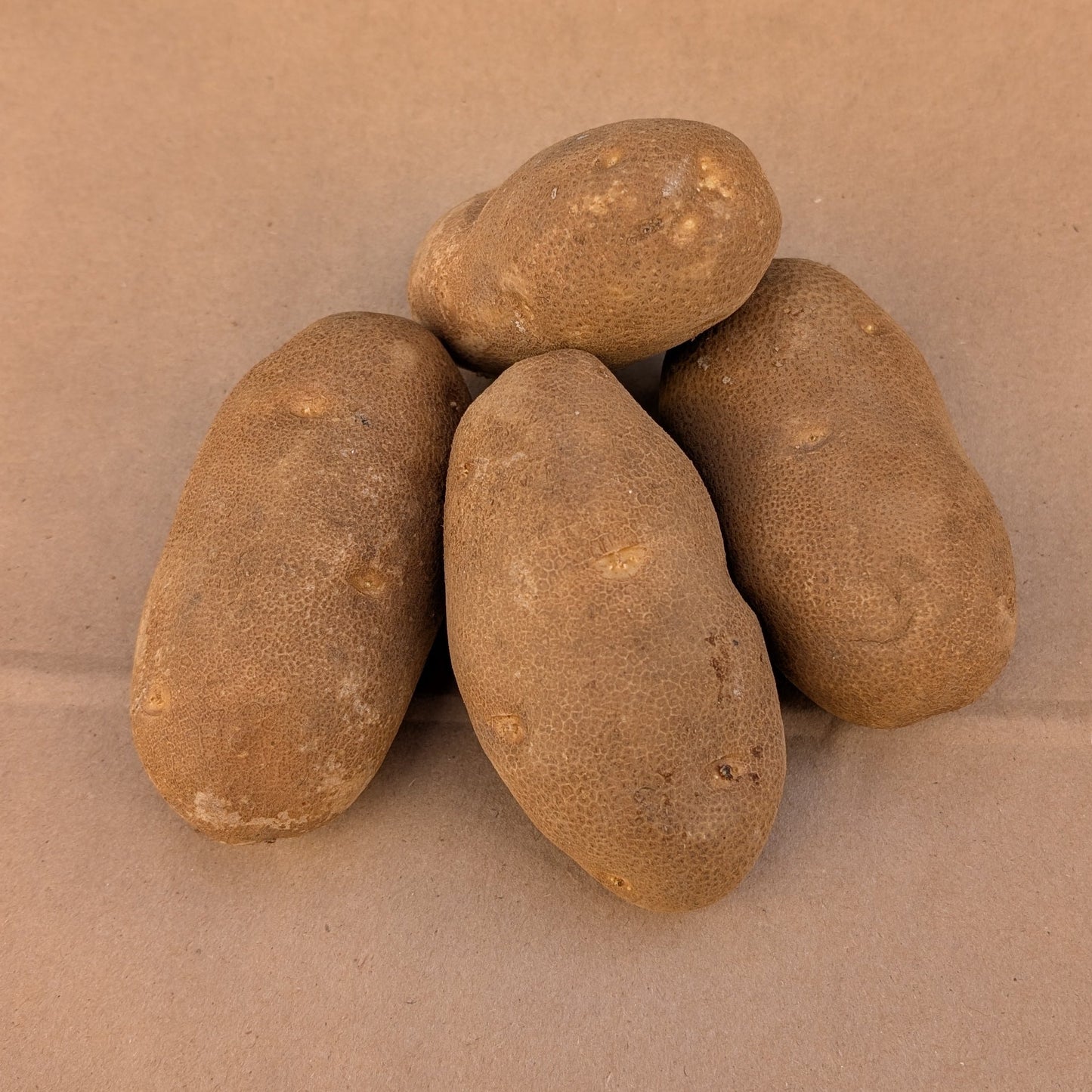 Russet Potatoes | King's Crown Organic Farm