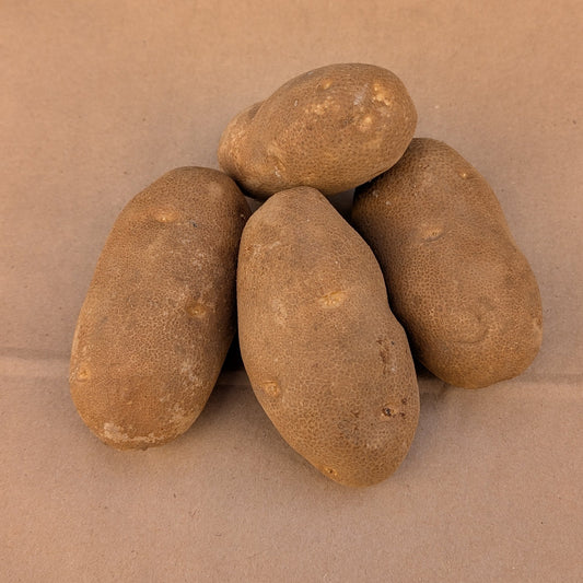 Russet Potatoes | King's Crown Organic Farm
