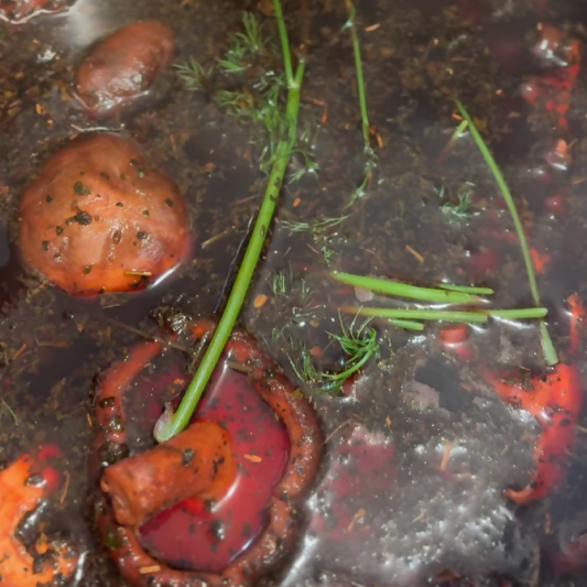 The Dacha Bone Broth Grass-Fed Organic | On the Lam