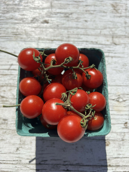 Peacevine Tomato | Medicine Bowl Farms