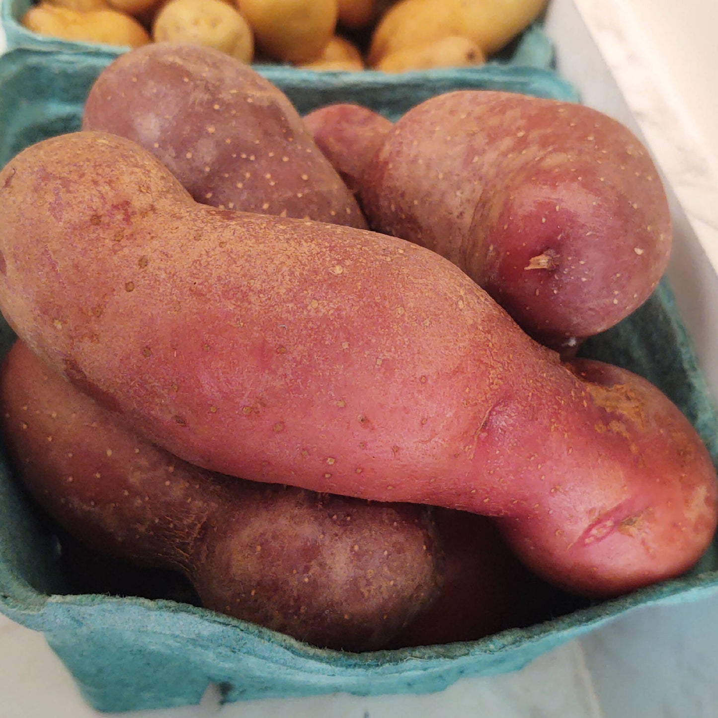 French Fingerling Heirloom Potatoes