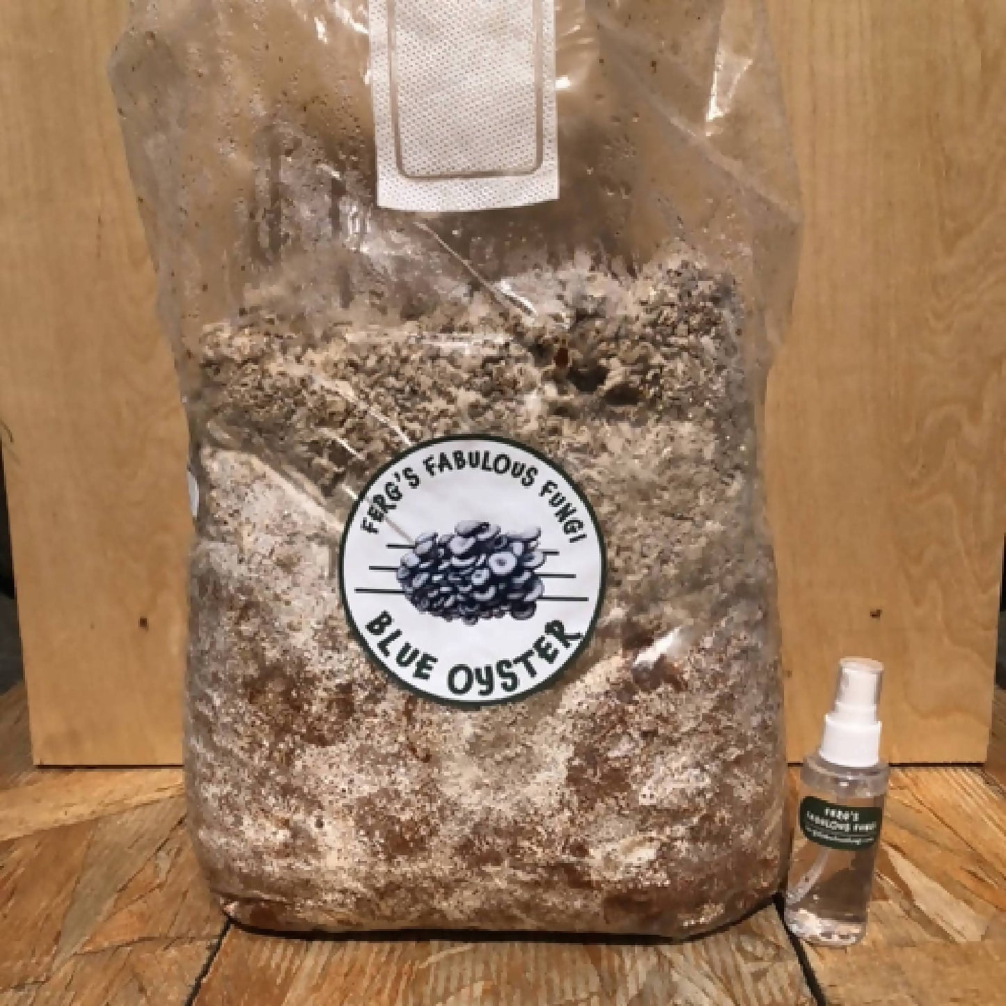 Mushroom Grow Kit