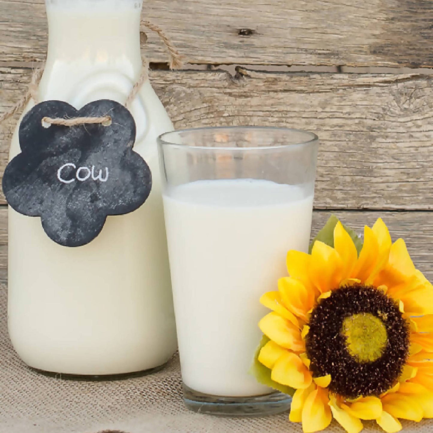 Raw Milk | Provider Farms