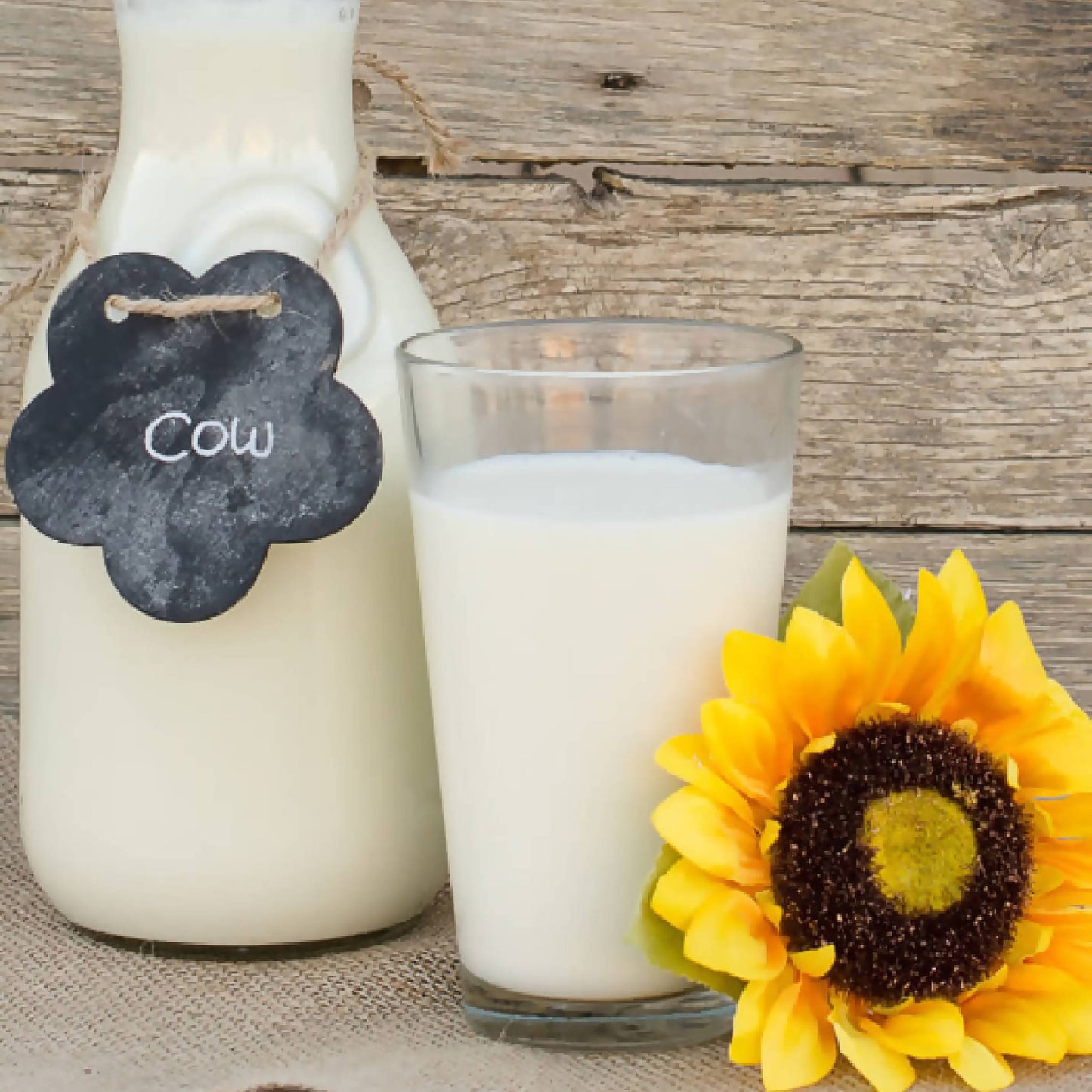 Raw Cows Milk  Provider Farms, Idaho – FarmDeliver