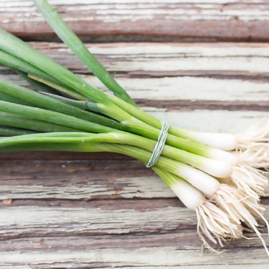 Scallions