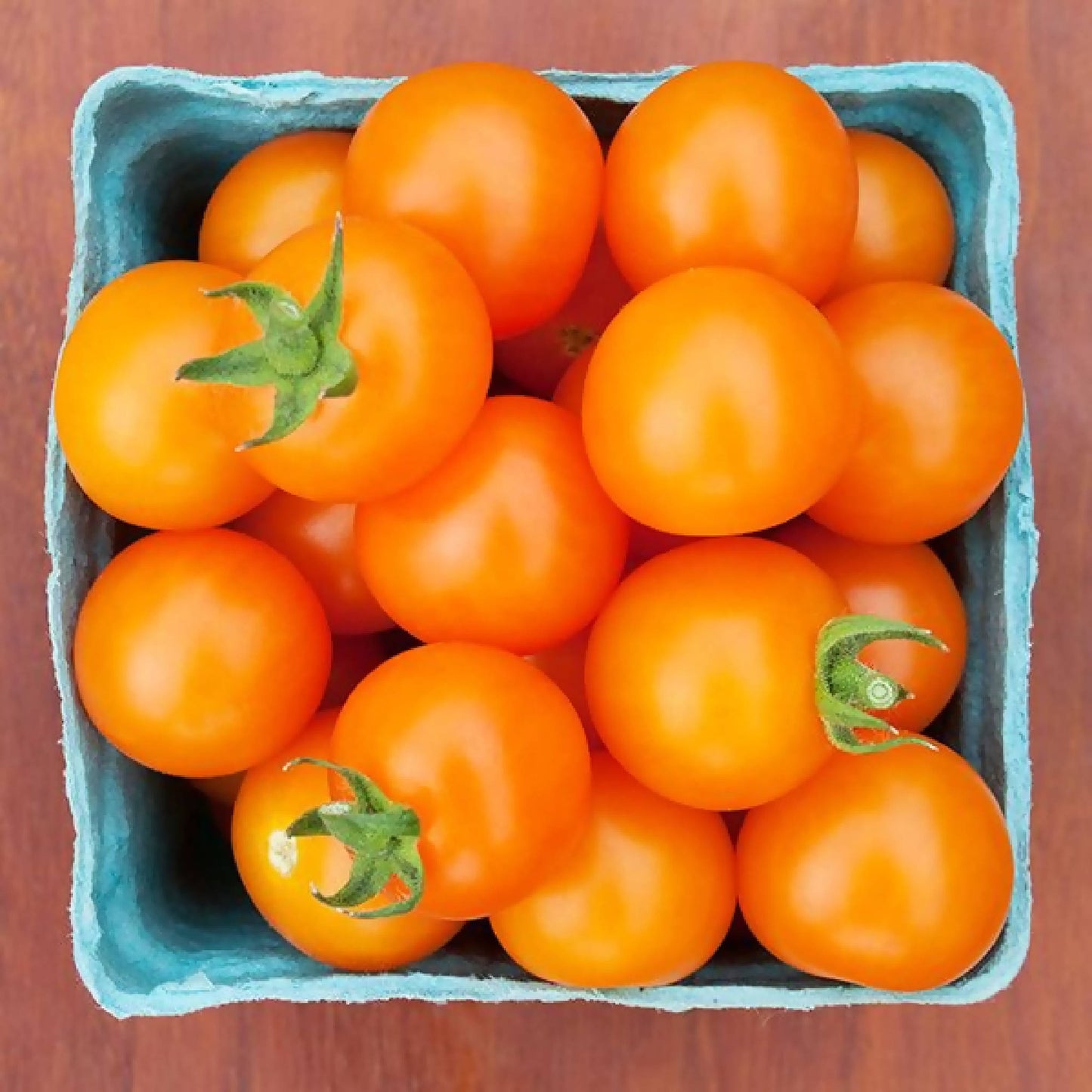 Sungold Cherry Tomatoes | Black Fox Farm